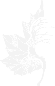 arboleak