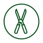 entretien jardin jardinier