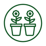 location plantes intérieur jardin