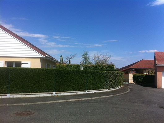 taille haie morlaas pau béarn