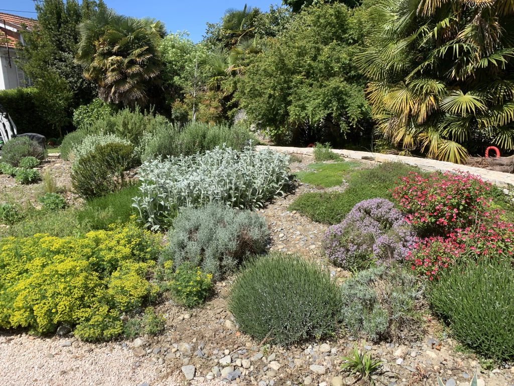taille arbustes arbres