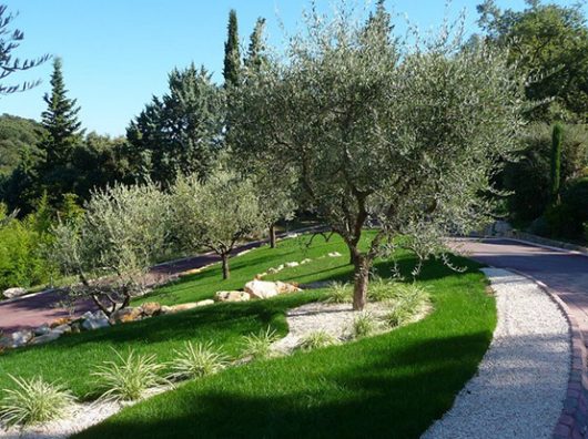 entretien jardin pau nay morlaas